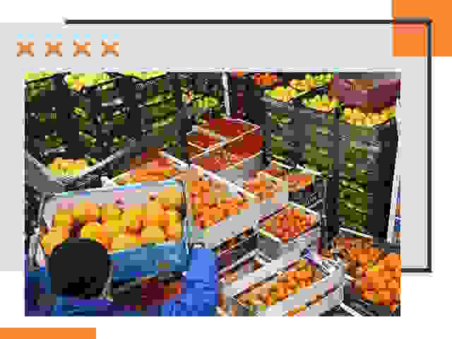 Перевозка скоропортящихся продуктов в Кимрах